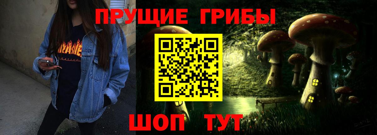 наркотики  Псилоцибиновые грибы прущие грибы  Вход с VPN  Камышлов 