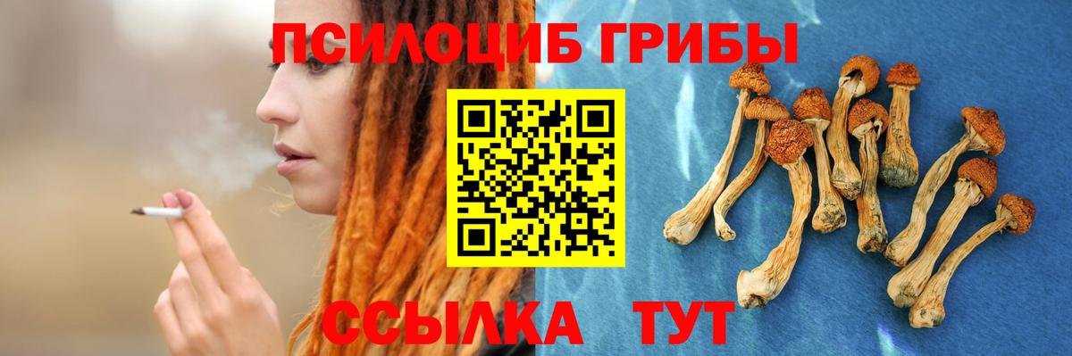 Галлюциногенные грибы GOLDEN TEACHER Камышлов