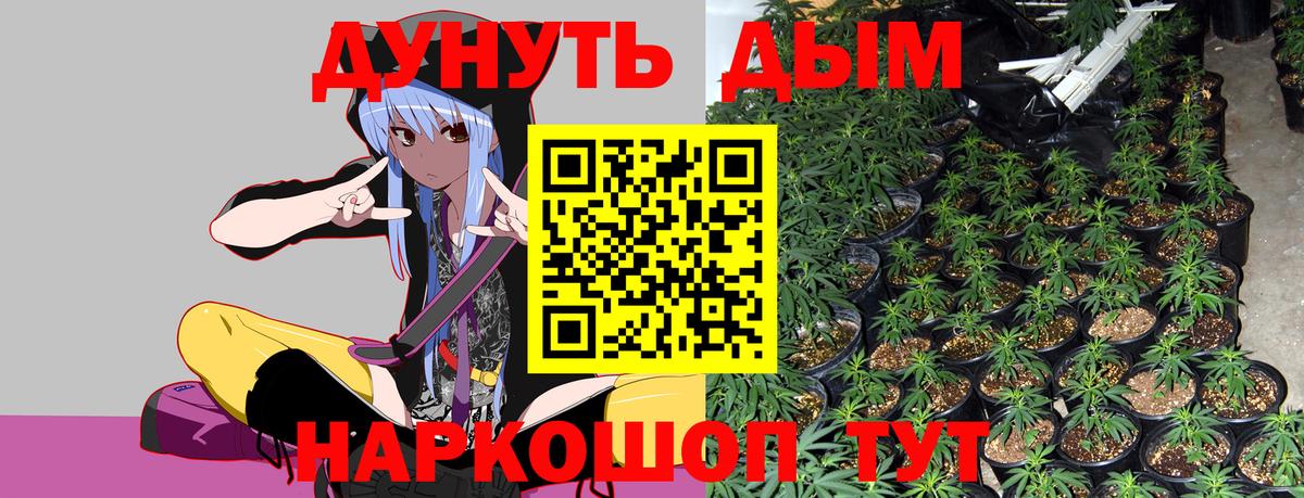 Каннабис марихуана Камышлов
